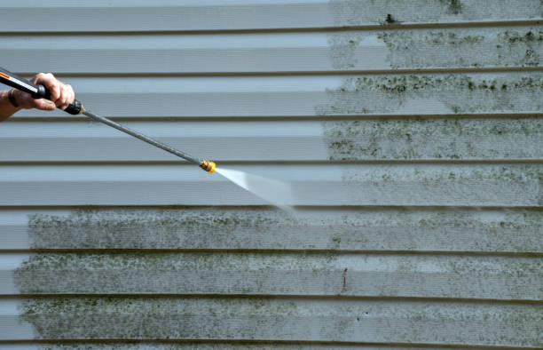 Best Roof Cleaning and Mildew Removal in Godley, TX